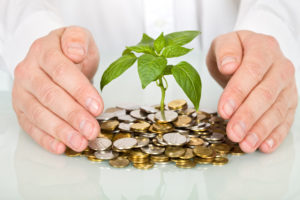 Growing Your Wealth